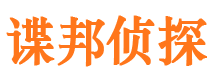 新兴市调查公司